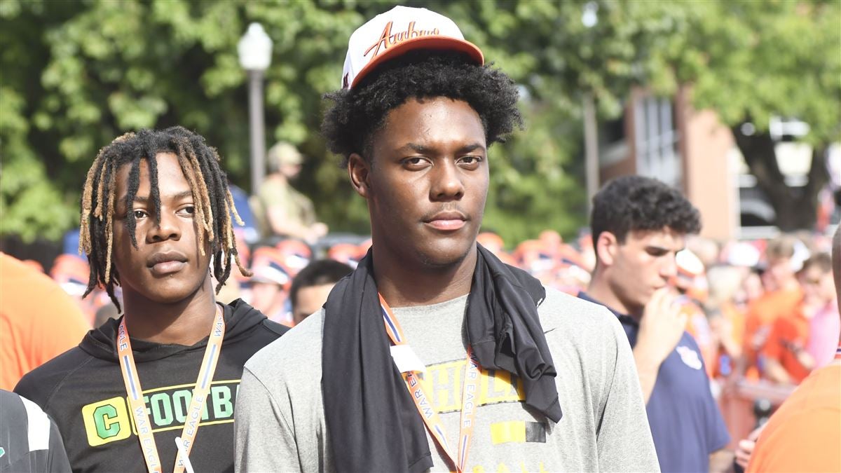 证明了自己 证明了自己